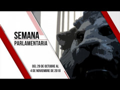 Semana parlamentaria (del 29 de octubre al 4 de noviembre)